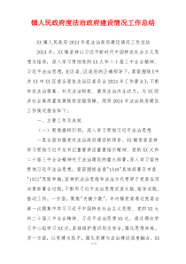 镇人民政府度法治政府建设情况工作总结