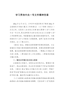 学习贯彻中央一号文件精神党课