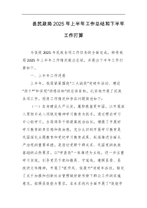 县民政局2025年上半年工作总结和下半年工作打算