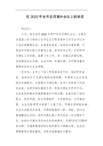 在2025年全市总河湖长会议上的讲话