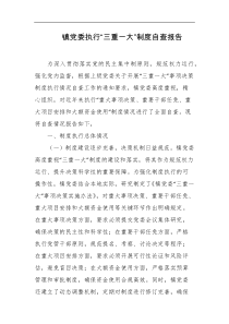 镇党委执行三重一大制度自查报告