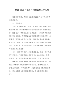 集团2025年上半年纪检监察工作汇报