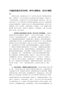 乡镇组织委员发言材料：树牢正确理念，担当乡镇使命