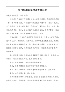 演讲稿2篇集团公司竞聘演讲稿范文2篇信用社副职企业仓储副科级管理岗位银行企业职工员工竞选竞职竞聘表态