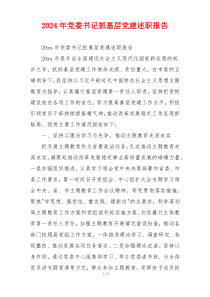 2024年党委书记抓基层党建述职报告