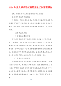 2024年党支部书记抓基层党建工作述职报告