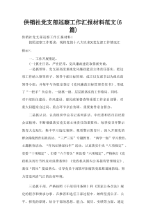 供销社党支部巡察工作汇报材料范文(6篇)