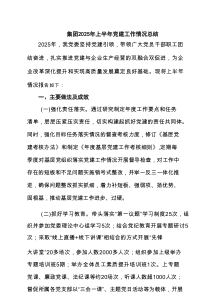 集团2025年上半年党建工作情况总结（精选6例）