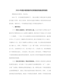 2024年度乡镇党委书记抓基层党建述职报告