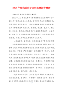 2024年度党委班子述职述廉报告最新
