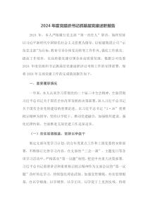 2024年度党组织书记抓基层党建述职报告