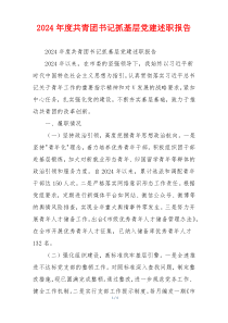 2024年度共青团书记抓基层党建述职报告