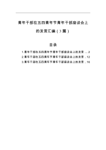 3篇年干部在五四青年节青年干部座谈会上的发言汇编