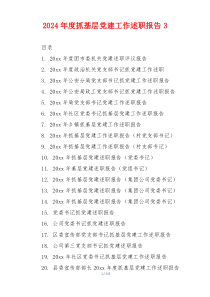 2024年度抓基层党建工作述职报告3