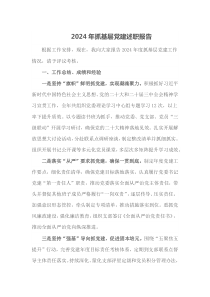 2024年抓基层党建述职报告