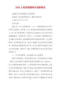 2025人民法院副院长述职报告