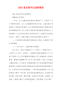 2025党支部书记述职报告