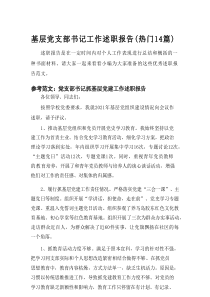 2025基层党支部书记工作述职报告（热门14篇）