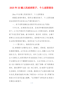 2025年XX镇人民政府班子、个人述职报告