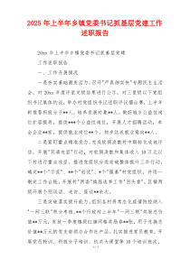 2025年上半年乡镇党委书记抓基层党建工作述职报告