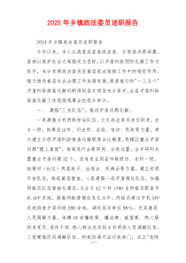 2025年乡镇政法委员述职报告