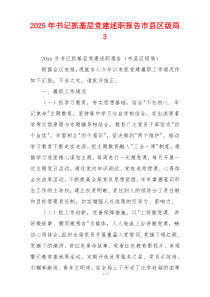 2025年书记抓基层党建述职报告市县区级局3