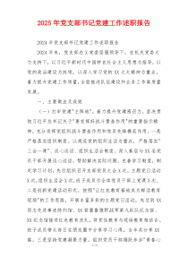 2025年党支部书记党建工作述职报告