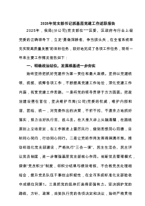 2025年党支部书记抓基层党建工作述职报告（精选8例）