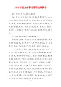 2025年党支部书记述职述廉报告