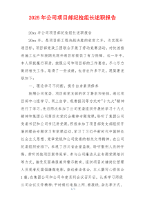 2025年公司项目部纪检组长述职报告