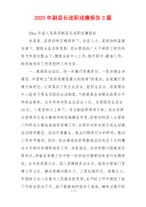 2025年副县长述职述廉报告2篇