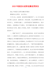 2025年副县长述职述廉述责报告