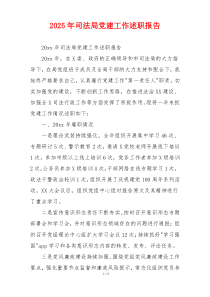 2025年司法局党建工作述职报告