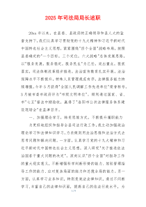 2025年司法局局长述职