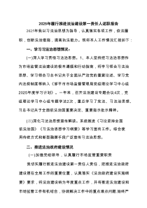 2025年履行推进法治建设第一责任人述职报告精选专题7篇资料