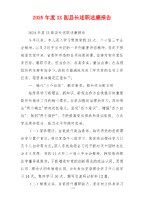 2025年度XX副县长述职述廉报告