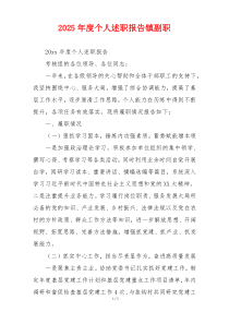 2025年度个人述职报告镇副职