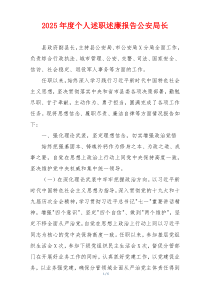 2025年度个人述职述廉报告公安局长