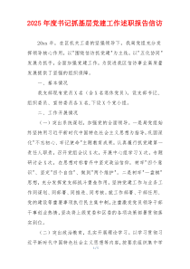 2025年度书记抓基层党建工作述职报告信访