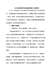 2025年度党委书记抓基层党建工作述职报五篇集合