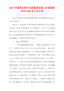2025年度党支部书记抓基层党建工作述职报告和2025年工作计划