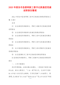 2025年度各市县委两新工委书记抓基层党建述职报告整理