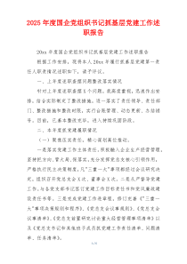 2025年度国企党组织书记抓基层党建工作述职报告