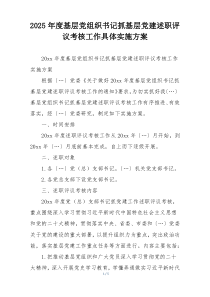 2025年度基层党组织书记抓基层党建述职评议考核工作具体实施方案