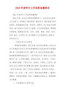 2025年度审计工作述职述廉报告