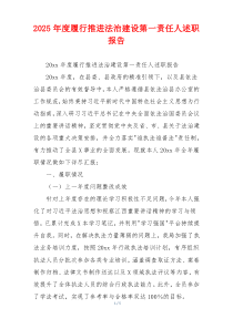 2025年度履行推进法治建设第一责任人述职报告