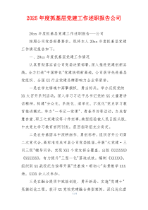 2025年度抓基层党建工作述职报告公司