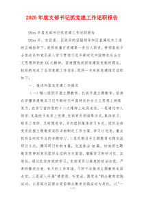2025年度支部书记抓党建工作述职报告