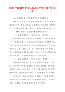 2025年度镇党委书记抓基层党建工作述职报告