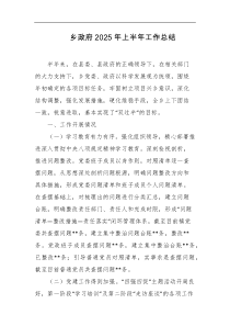 乡政府2025年上半年工作总结
